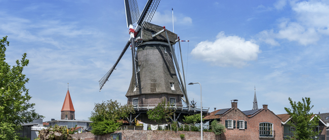 Newsletter De Molen 650x277